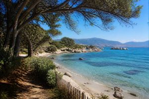 camping Barbicaja : où séjourner près de la plage à Ajaccio