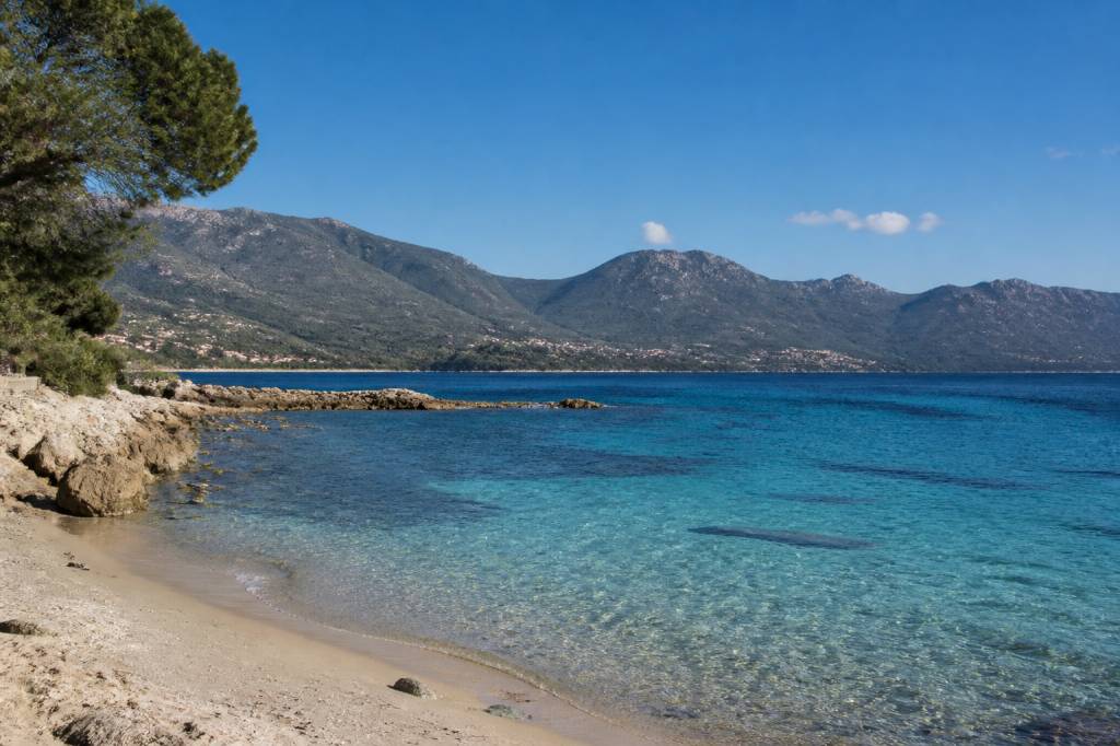 plage de Barbicaja : une plage emblématique près d’Ajaccio