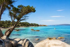activité corse-du sud : 10 idées pour profiter pleinement de la région