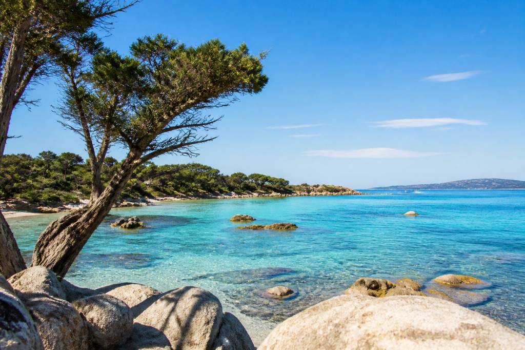 activité corse-du sud : 10 idées pour profiter pleinement de la région