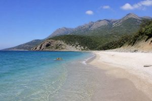 plage de Chiuni : tout ce qu’il faut savoir avant d’y aller