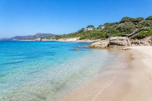 plage autour de Calvi : les plus beaux coins de baignade à explorer